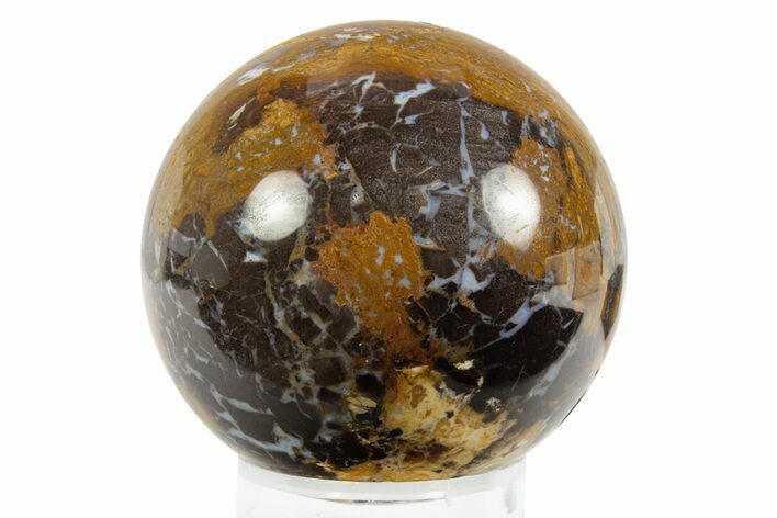 Polished Petrified Shrinkwood Sphere - Parker, Colorado #303459